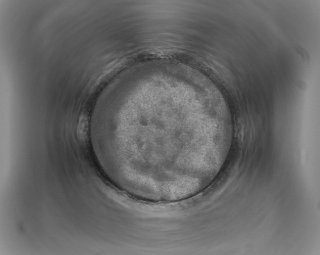 X0000112770036200909101600