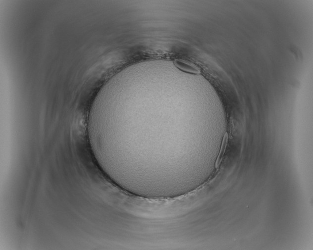 X0000112770037200909101600