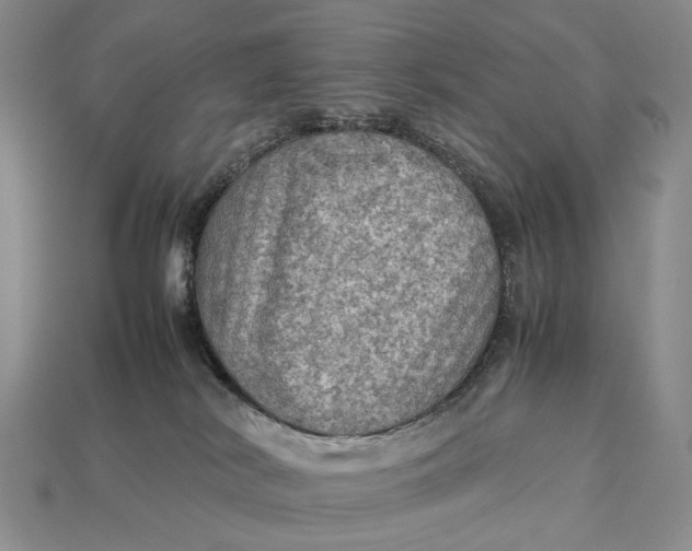 X0000112770038200909101600