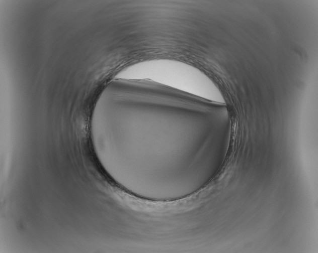 X0000112770039200909101600