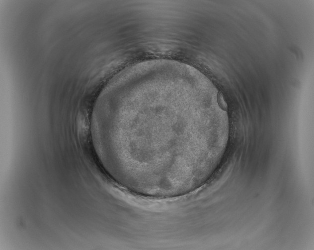 X0000112770040200909101600