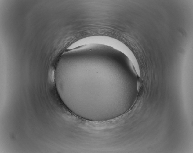 X0000112770041200909101600