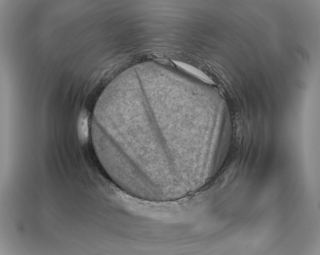 X0000112770042200909101600