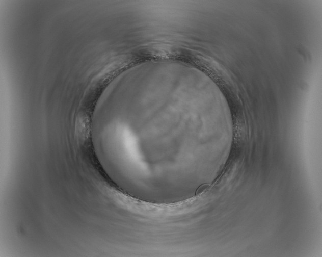 X0000112770043200909101600