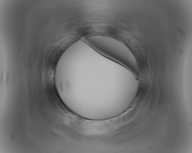 X0000112770045200909101600