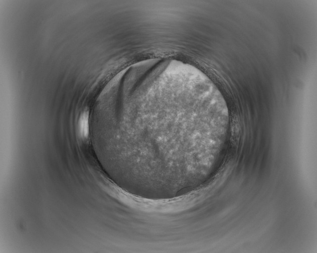 X0000112770046200909101600