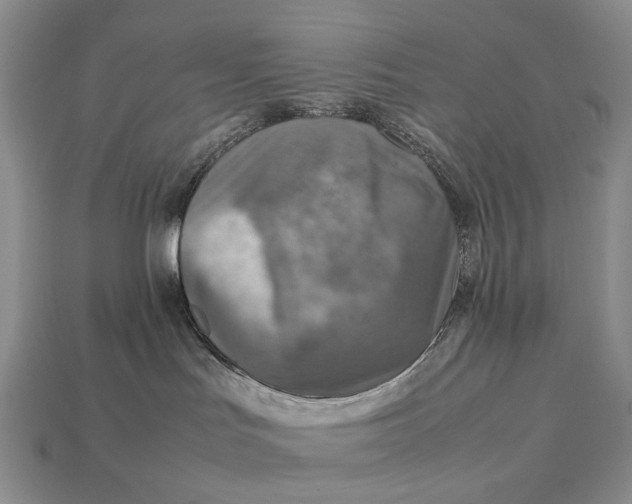 X0000112770047200909101600