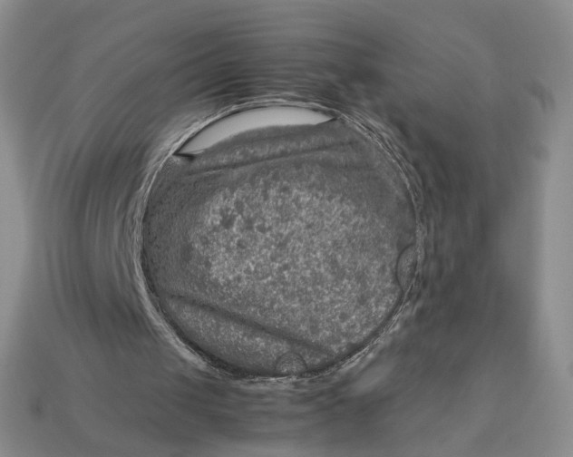 X0000112770049200909101559