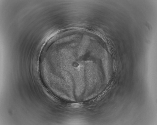 X0000112770050200909101559