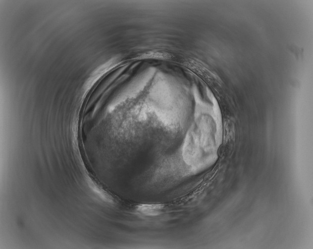 X0000112770051200909101559