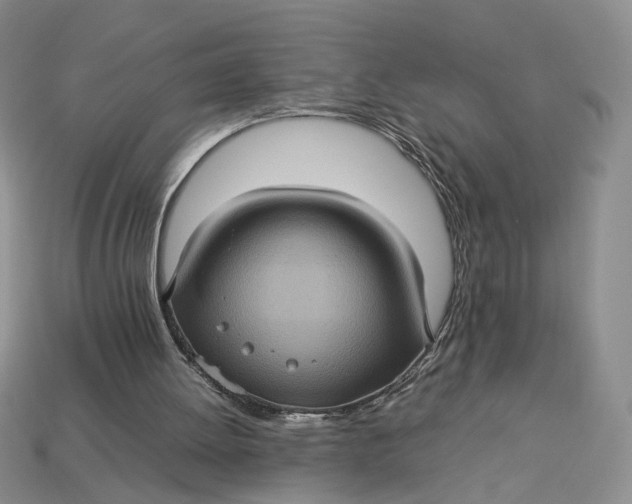 X0000112770052200909101559