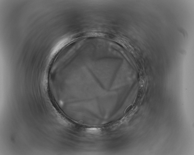 X0000112770053200909101559