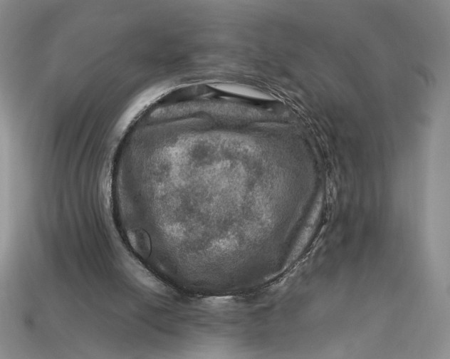 X0000112770054200909101559