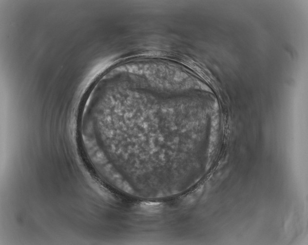 X0000112770055200909101559