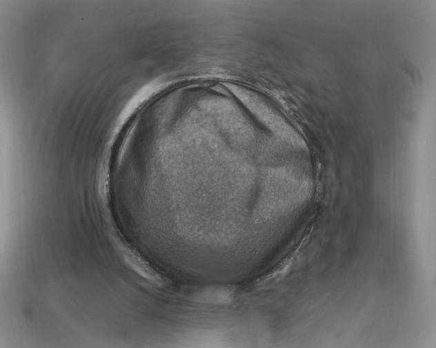 X0000112770056200909101559