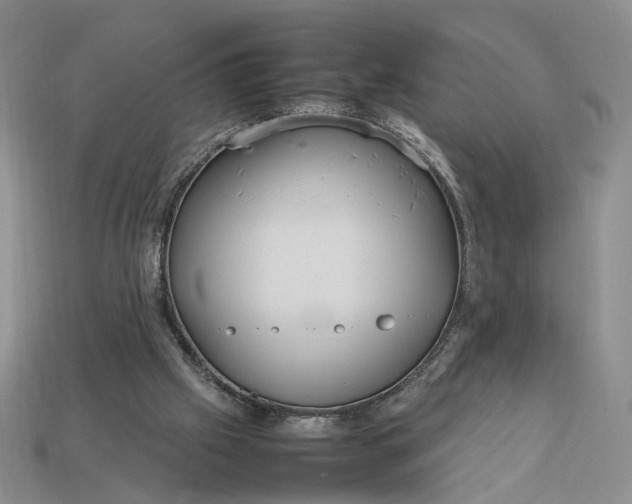 X0000112770057200909101559