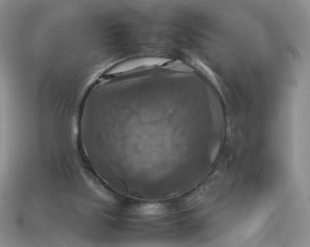 X0000112770059200909101559