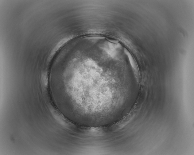 X0000112770060200909101559