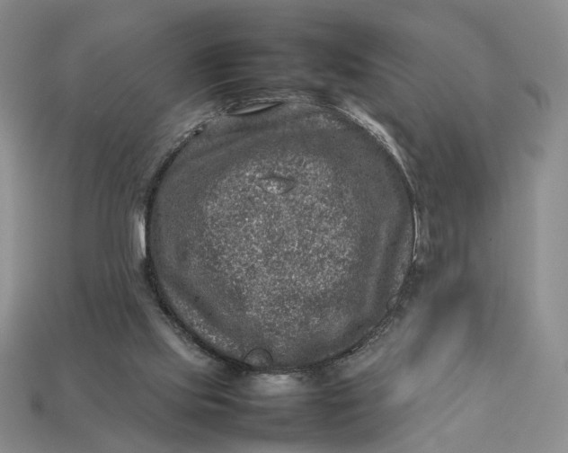 X0000112770061200909101559