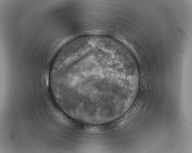 X0000112770062200909101559