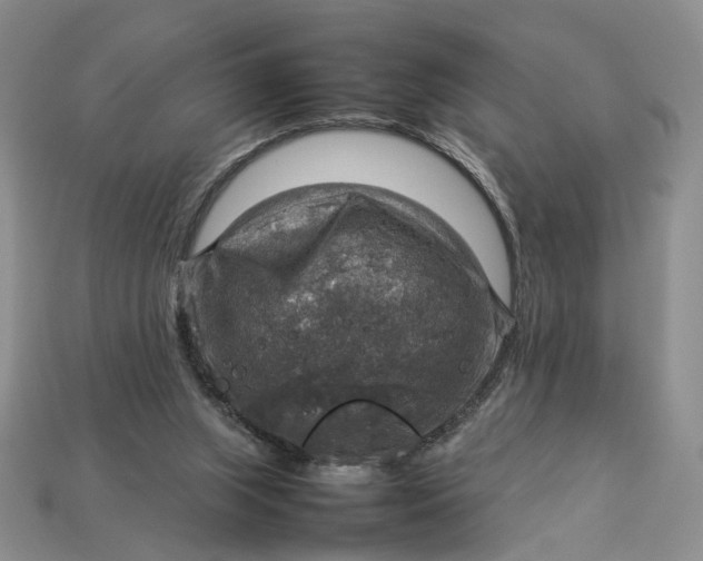 X0000112770063200909101559