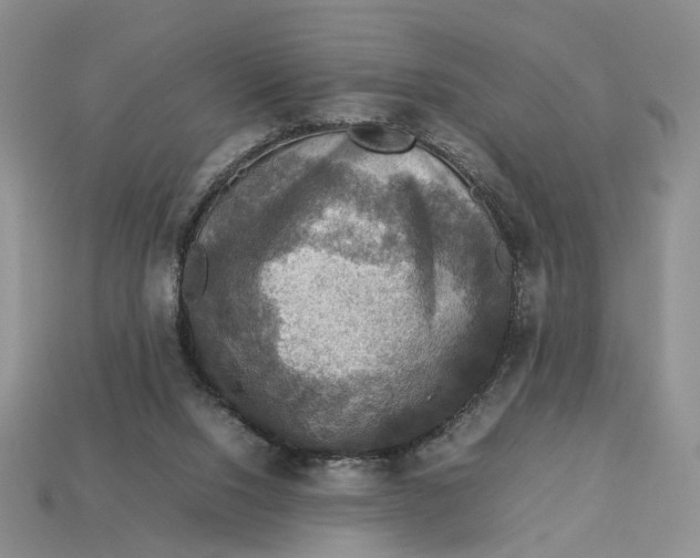 X0000112770064200909101559