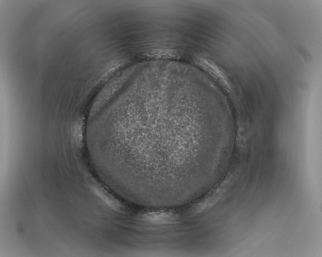 X0000112770065200909101559