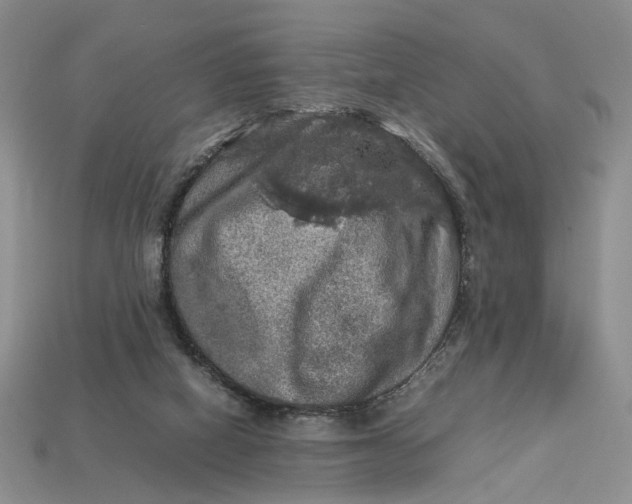 X0000112770066200909101559