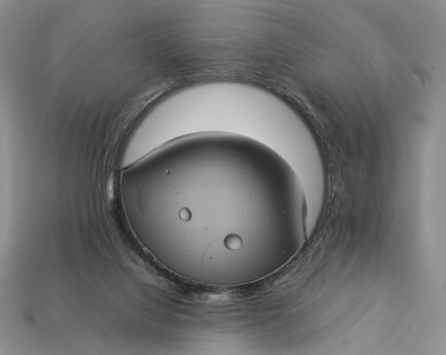 X0000112770068200909101559