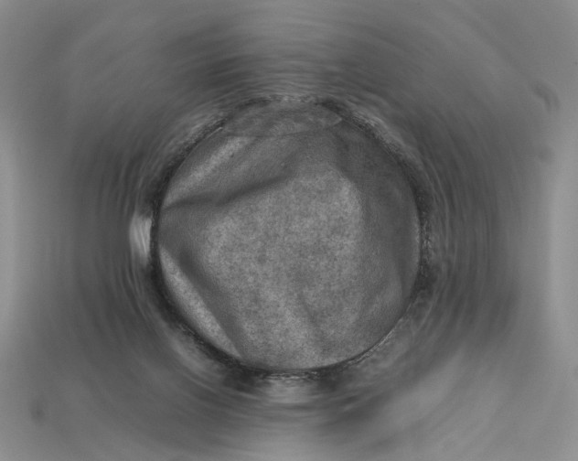 X0000112770070200909101559