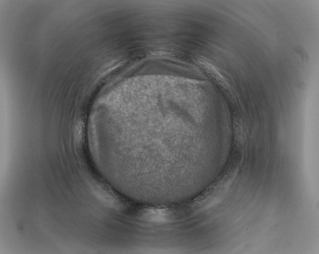 X0000112770071200909101559