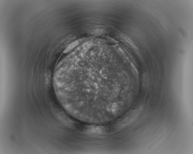 X0000112770073200909101559