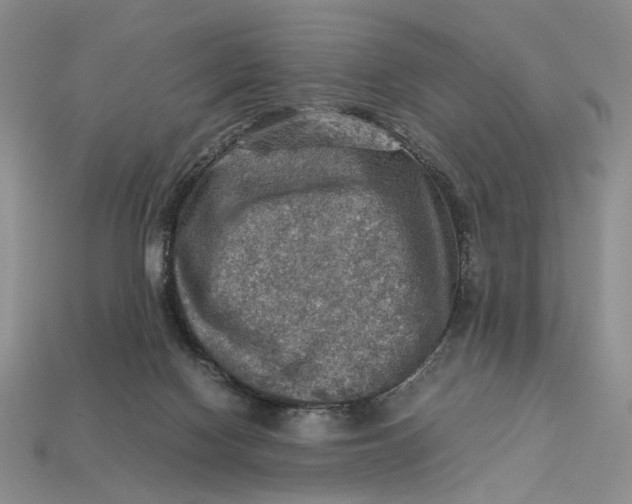 X0000112770074200909101559