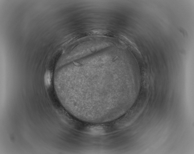 X0000112770075200909101559