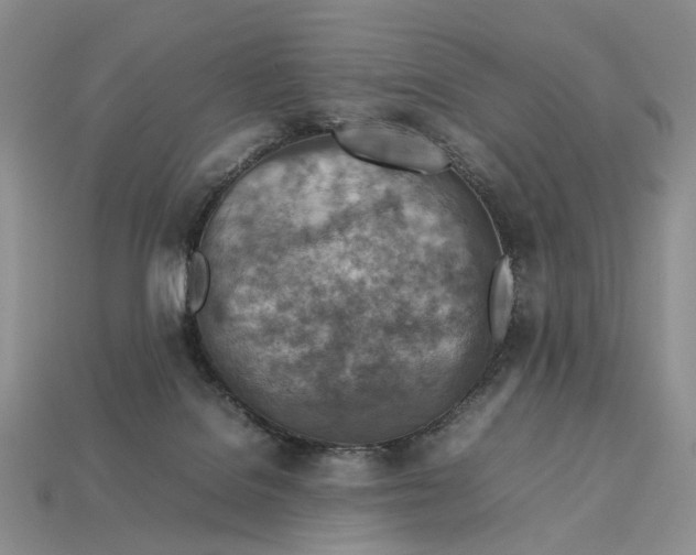 X0000112770076200909101600