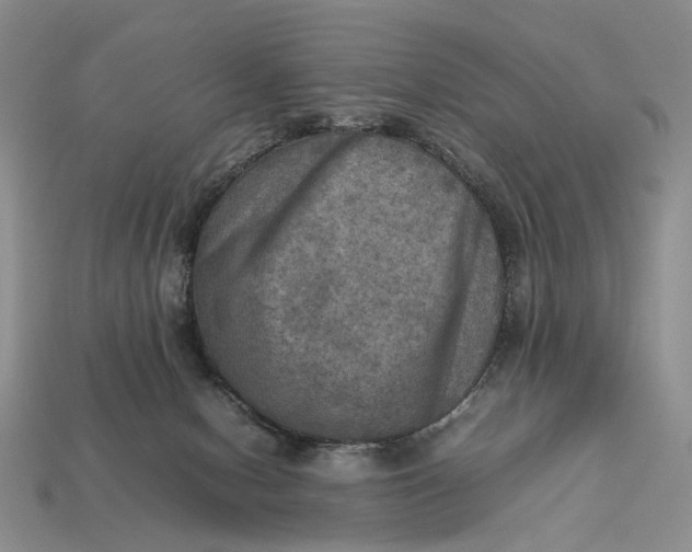 X0000112770078200909101600