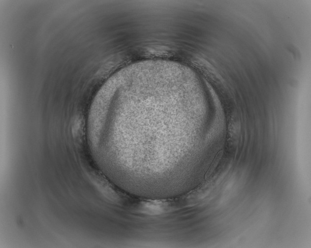 X0000112770079200909101600