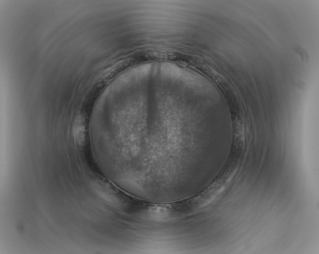 X0000112770080200909101600