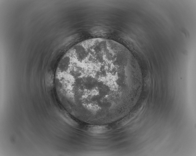 X0000112770081200909101600