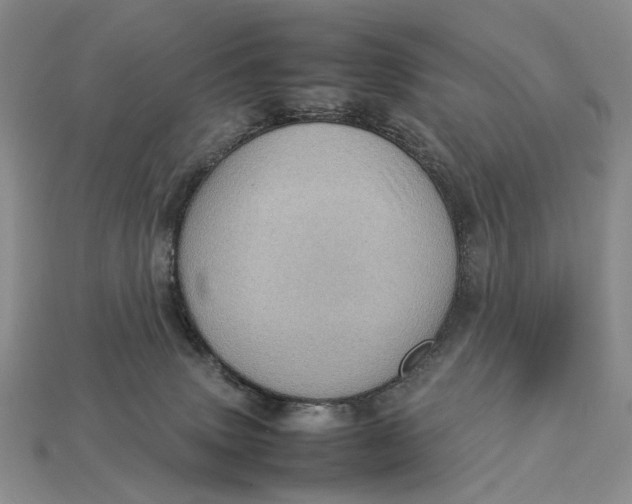 X0000112770083200909101600