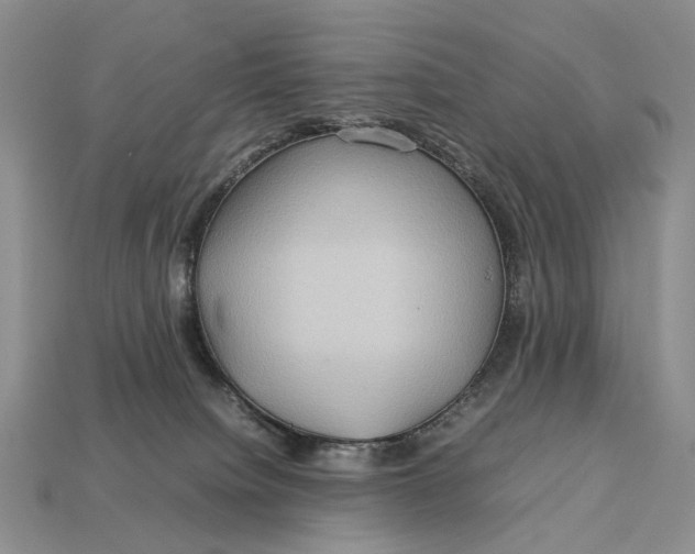 X0000112770084200909101600