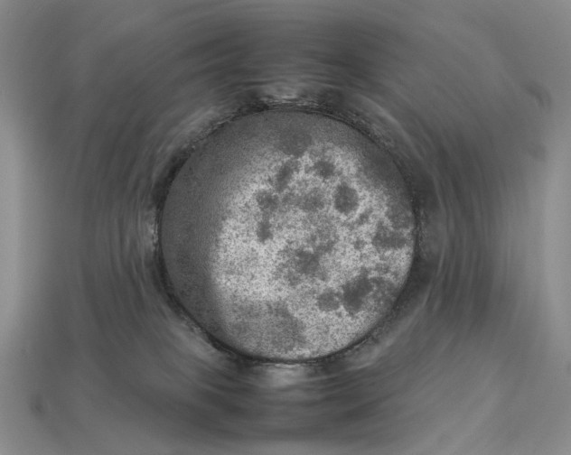 X0000112770085200909101600