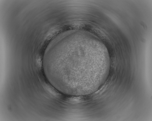 X0000112770086200909101600