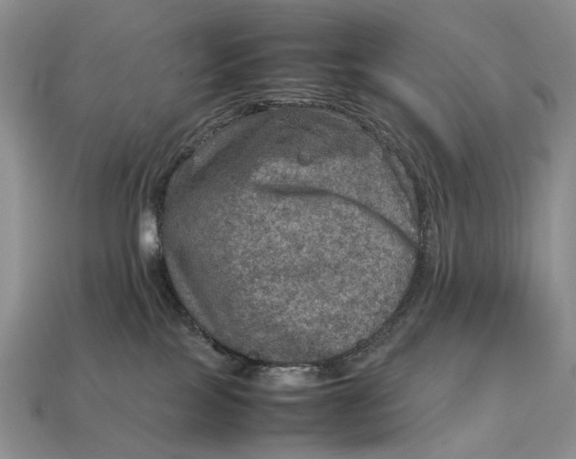 X0000112770089200909101600