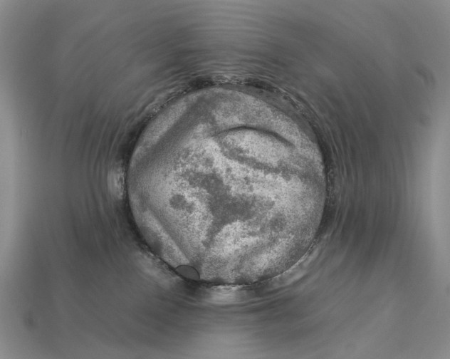 X0000112770090200909101600