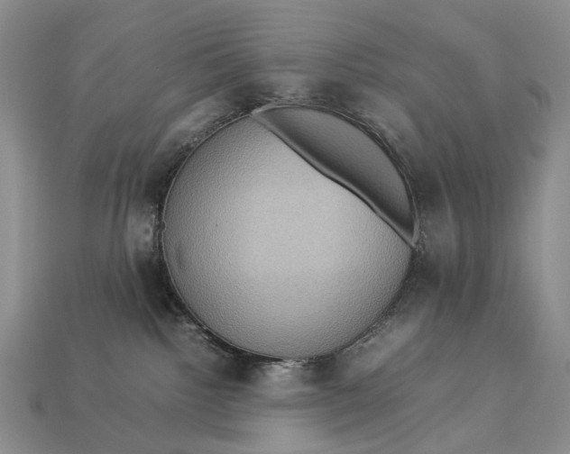 X0000112770092200909101600