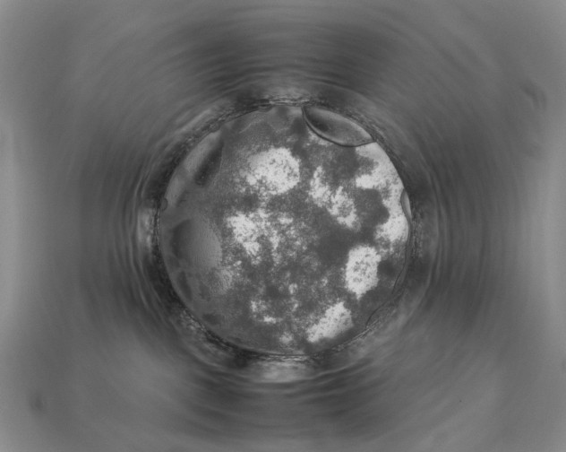 X0000112770093200909101600