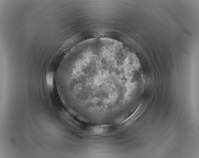 X0000112770094200909101600