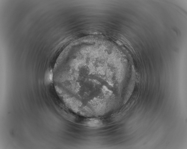 X0000112770095200909101600