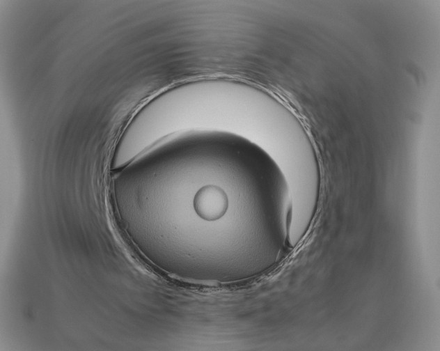 X0000112770097200909101559